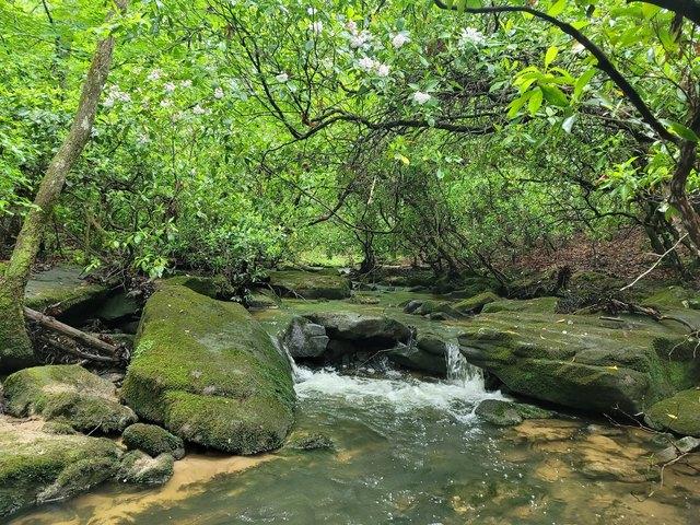 Land for sale in Tennessee