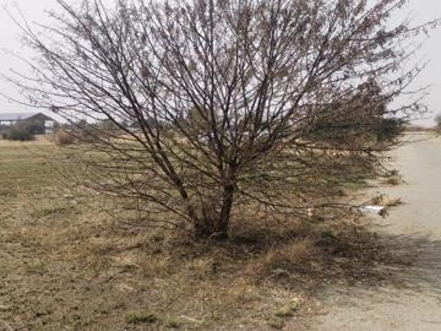 Land for sale in Lejweleputswa, Free State