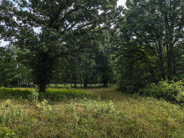 Land for sale in Tennessee
