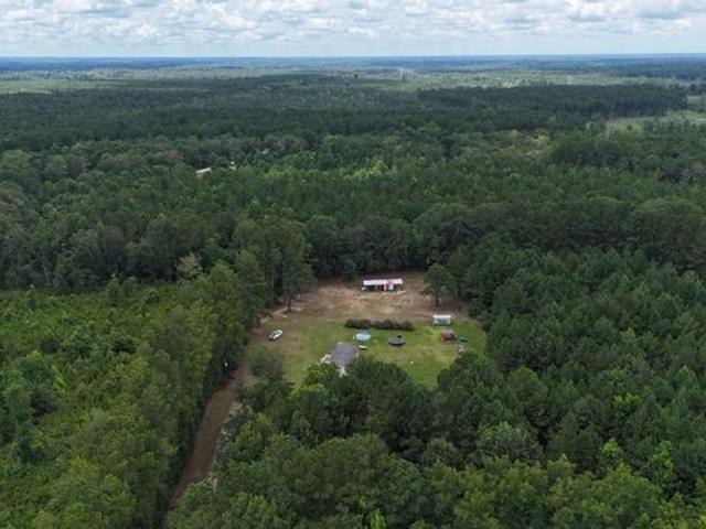 Land for sale in Clyo, Georgia