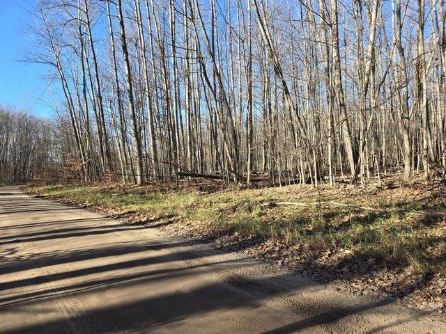 Land for sale in Gaylord, Michigan
