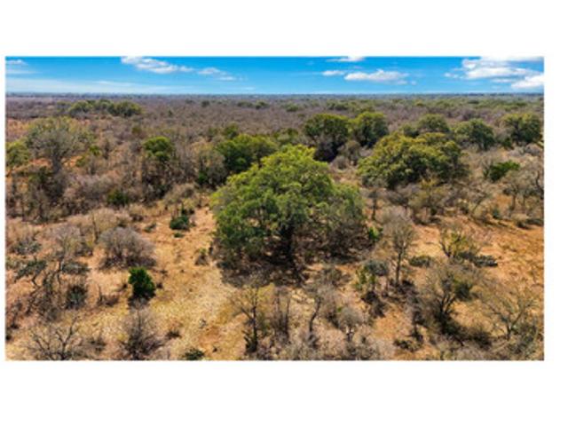 Farm for sale in Hondo, Medina County