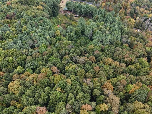 Land for sale in Roseboom, New York