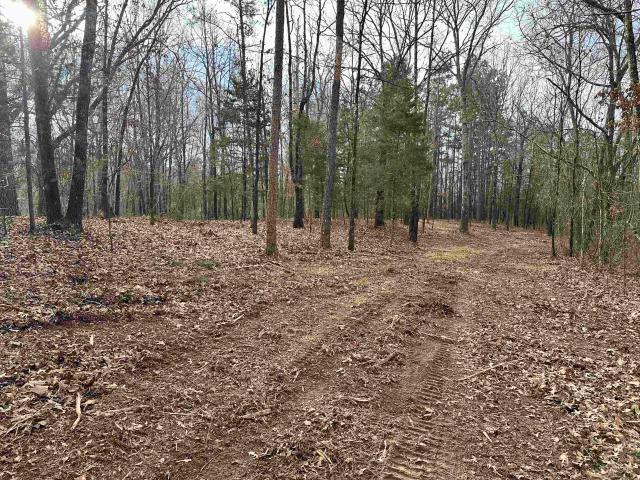 Land for sale in Tennessee
