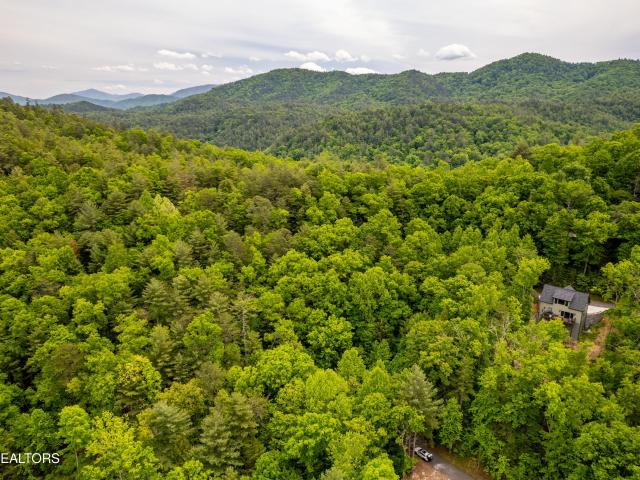Land for sale in Tennessee