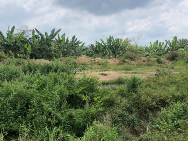 Commercial for sale in Ogun