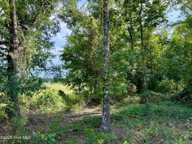 House for sale in Parksville, South Carolina