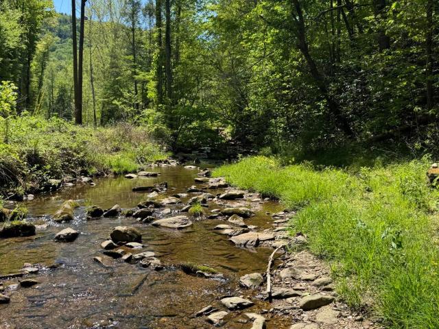 Land for sale in Tennessee