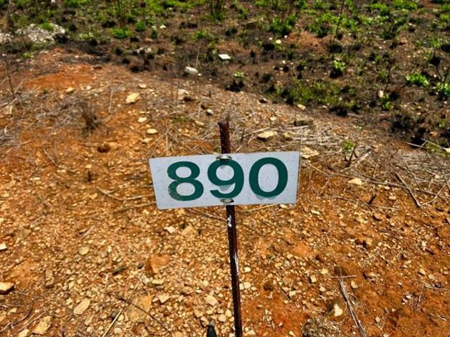 Land for sale in Dullstroom, Mpumalanga
