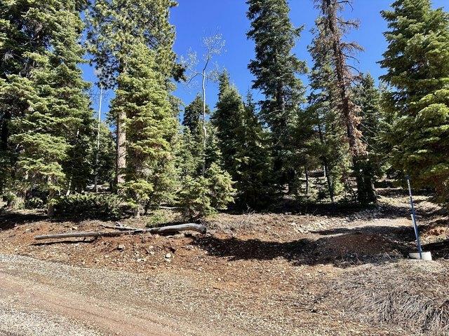 Land for sale in Duck Creek Village, Utah