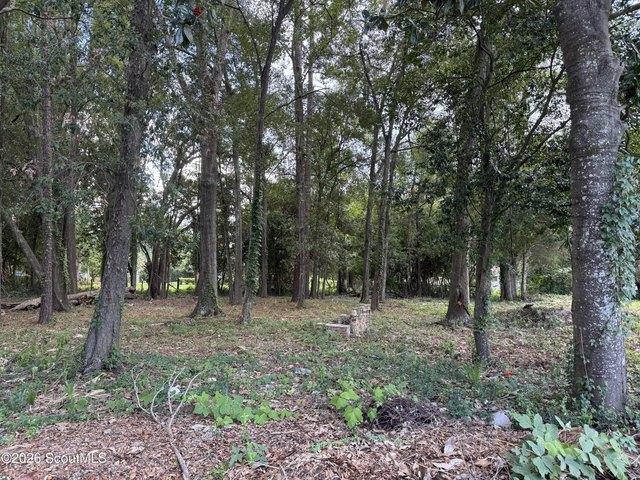 Land for sale in Waycross, Ware County