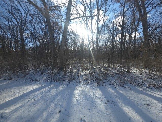 Land for sale in Dixon, Illinois