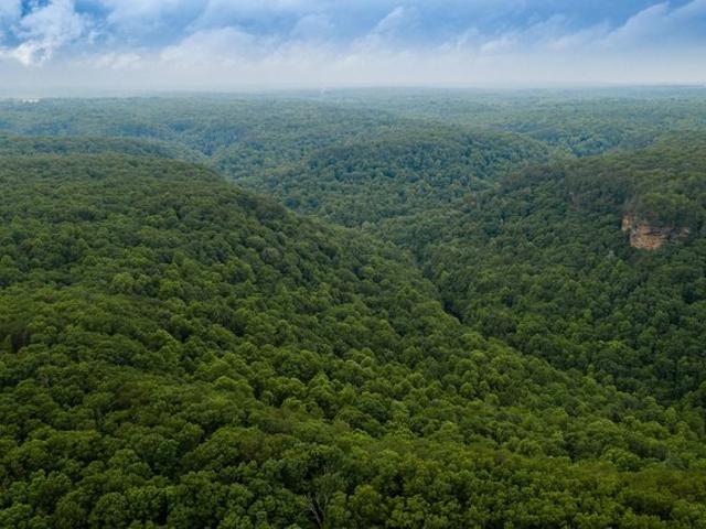 Land for sale in Tennessee