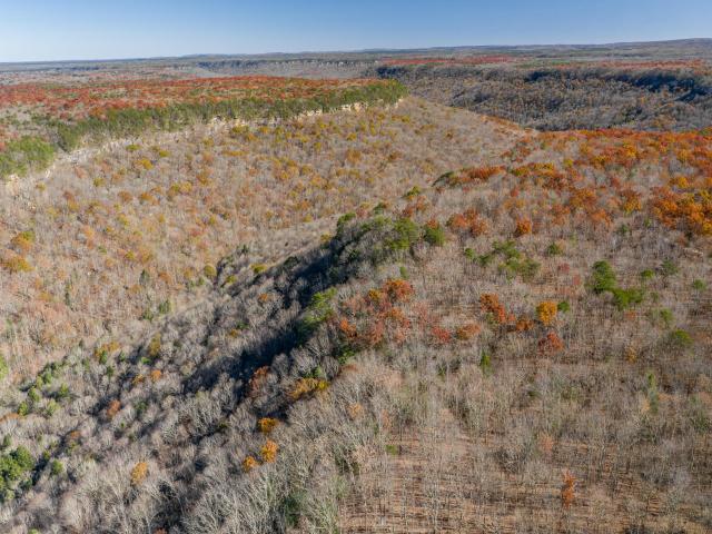 Land for sale in Tennessee