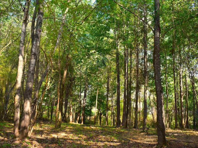 Land for sale in Kimberly, Jefferson County