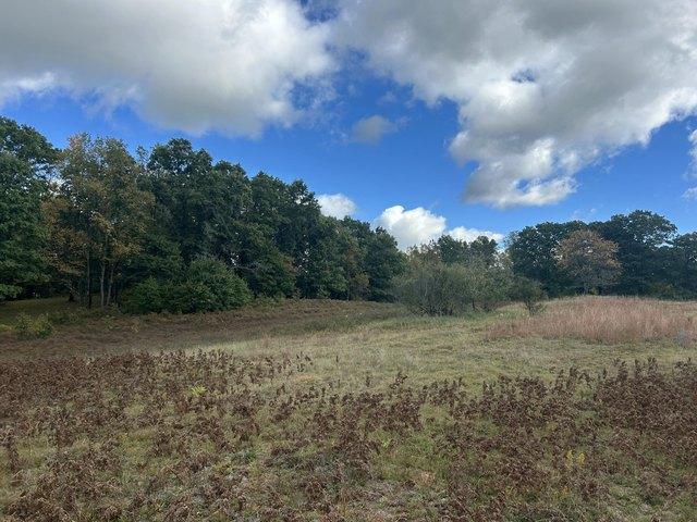 House for sale in Chase, Chase Township