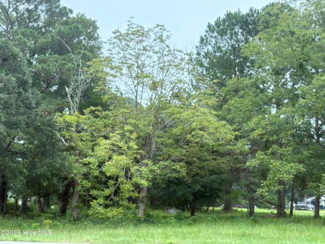 Land for sale in Ash, North Carolina