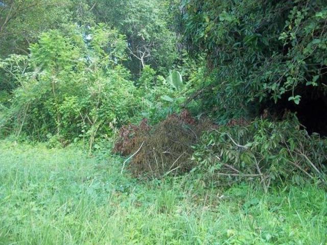 Land for sale in Ehlanzeni, Mpumalanga