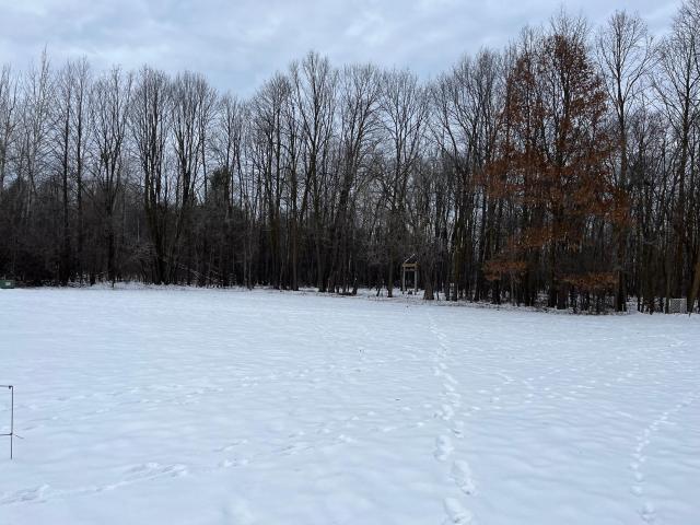 Land for sale in Rice Lake, Wisconsin