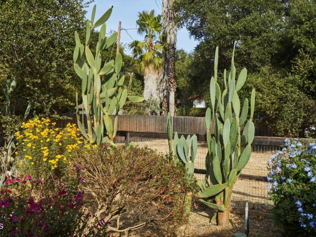 House for sale in Ojai, California
