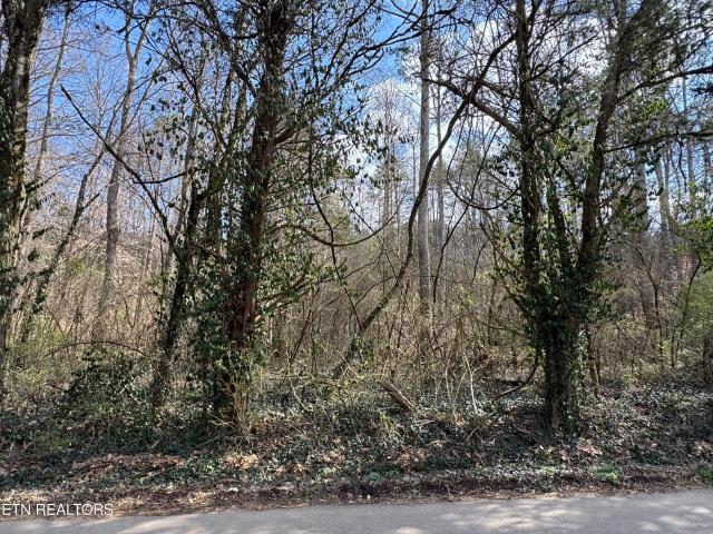Land for sale in Tennessee