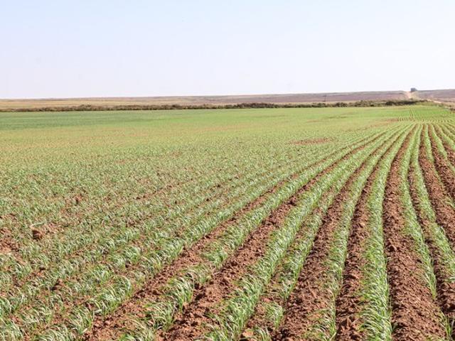Farm for sale in Attica, Harper County