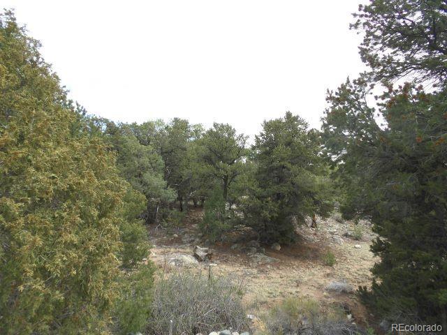Land for sale in Crestone, Saguache County