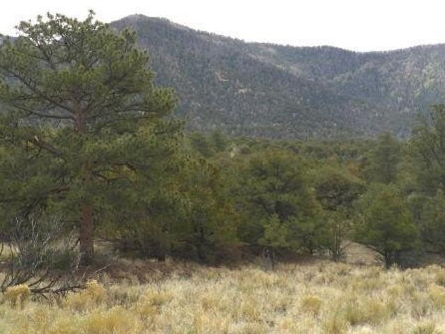 Land for sale in Crestone, Saguache County