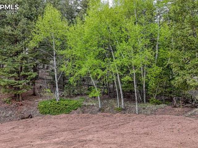 Land for sale in Cripple Creek