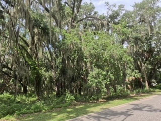 Land for sale in Georgia