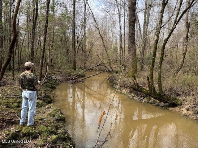 Land for sale in Mississippi