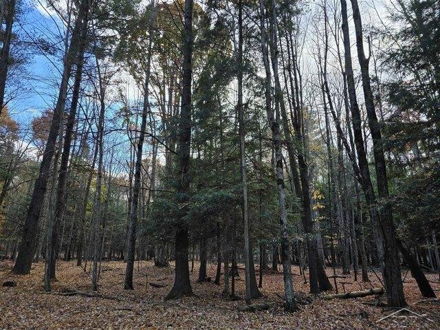 Land for sale in Stanwood, Michigan