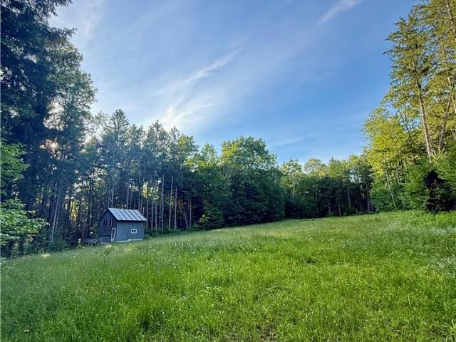 Land for sale in Brookfield, New York