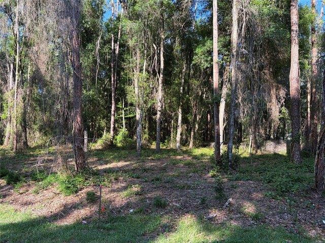 Land for sale in Bushnell, Florida
