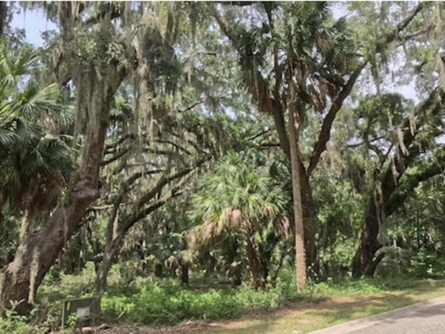 Land for sale in Georgia