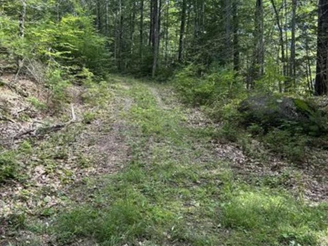 Land for sale in New Hampshire