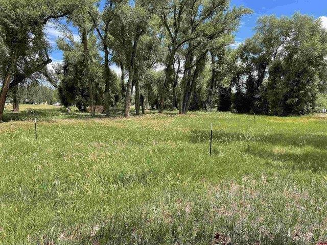 Land for sale in Gunnison, Colorado