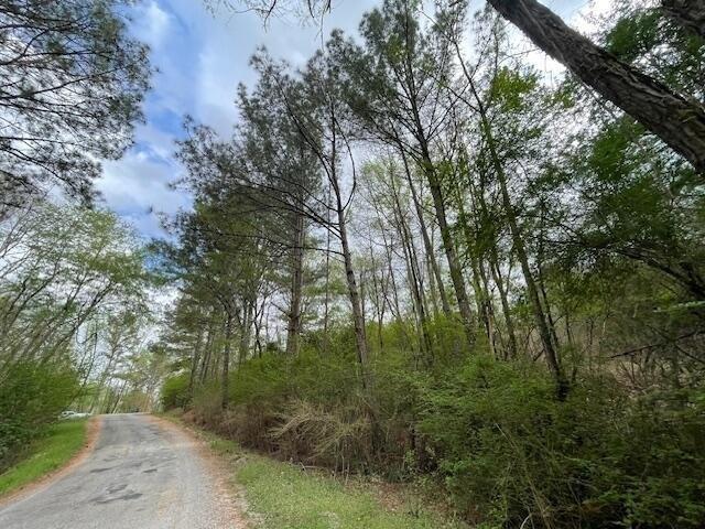 Land for sale in Haleyville, Alabama