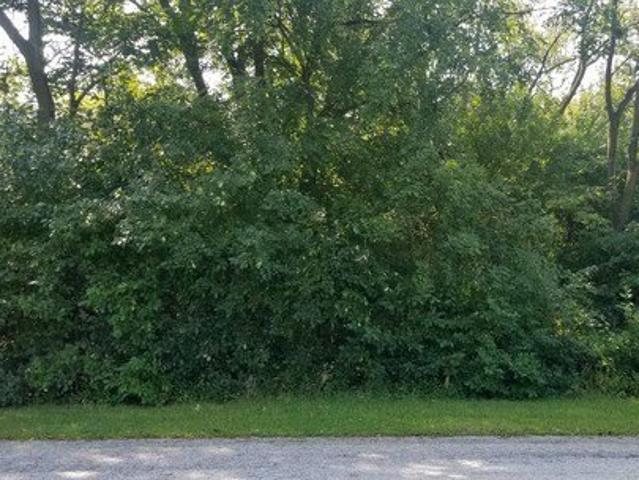Land for sale in Steger, Cook County