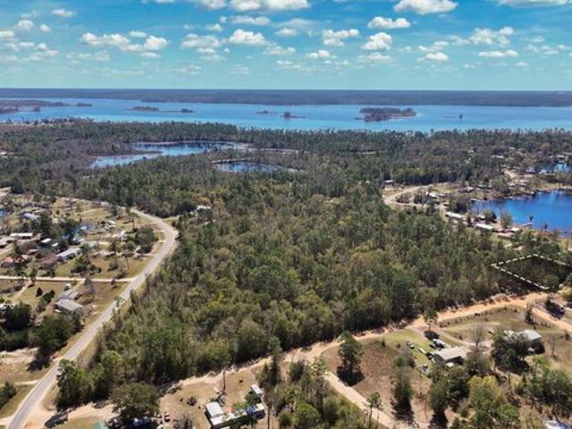 Land for sale in Donalsonville, Georgia