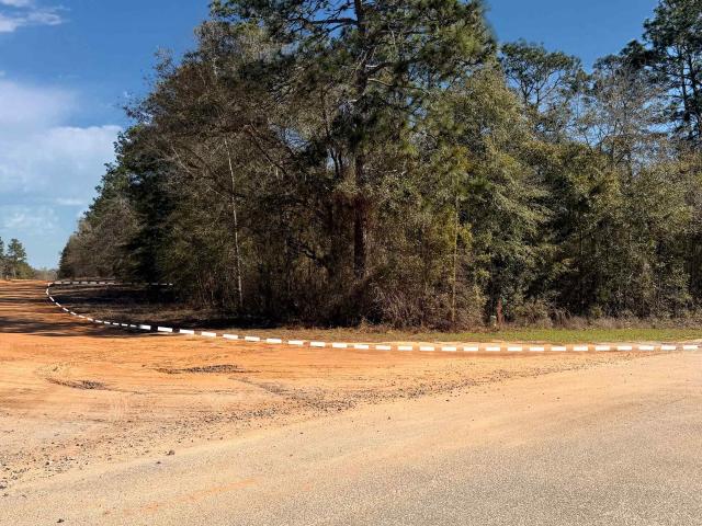 Land for sale in Donalsonville, Georgia