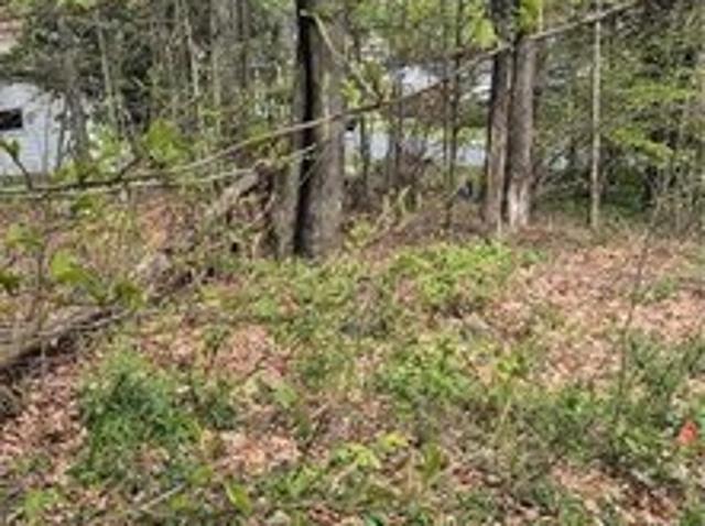 Land for sale in Somerset, Pennsylvania