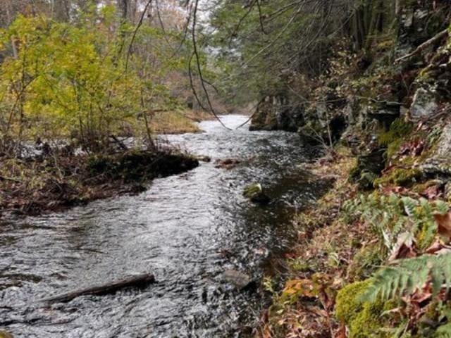 Land for sale in Acra, New York