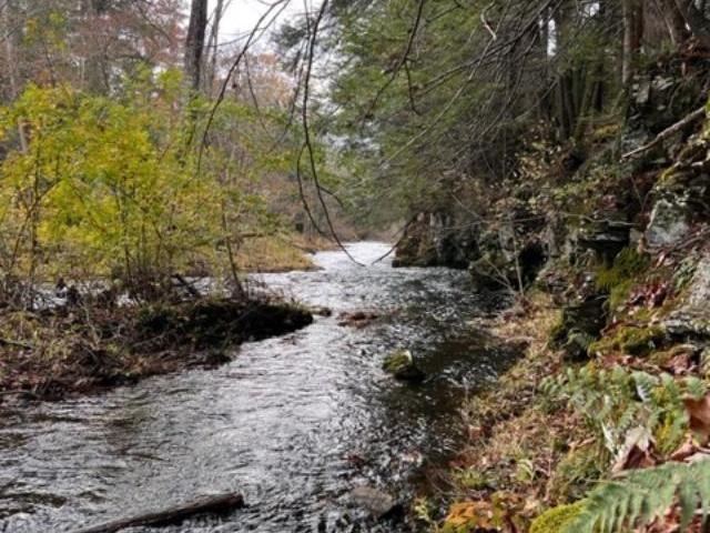 Land for sale in Acra, New York