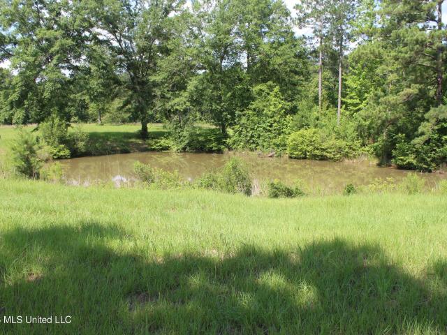 Land for sale in Mississippi