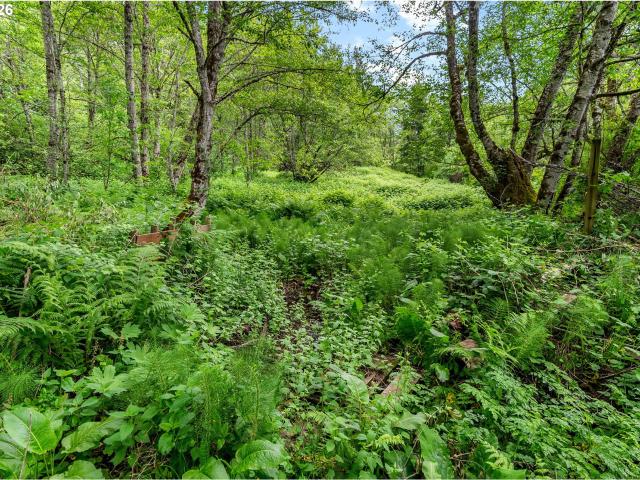 Land for sale in Stevenson, Washington