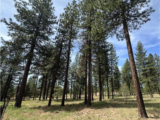 House for sale in Goldendale, Klickitat County