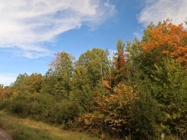 Land for sale in Bayfield, Bayfield County