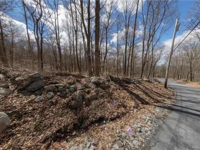 Land for sale in New York