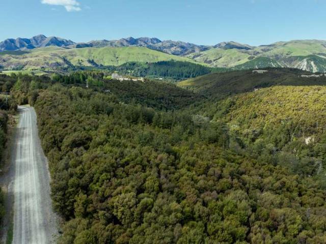 Property for sale in Mount Lyford Village, Hurunui District